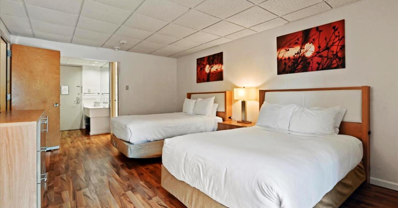 Mountain Laurel Resort White Haven Ngoại thất bức ảnh